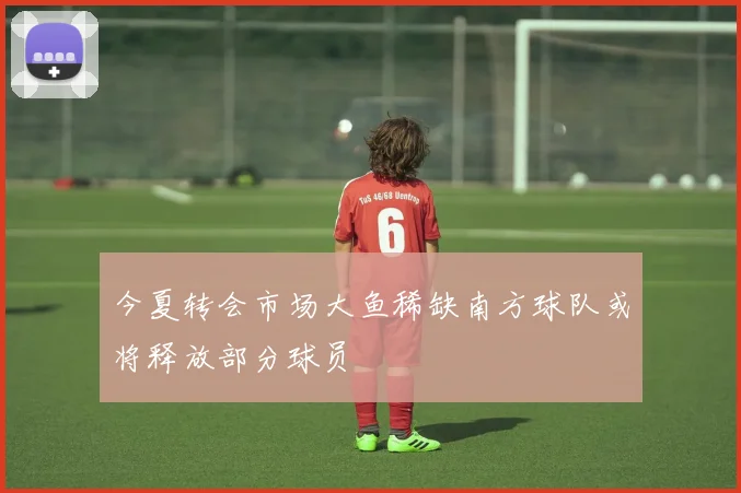 今夏转会市场大鱼稀缺南方球队或将释放部分球员